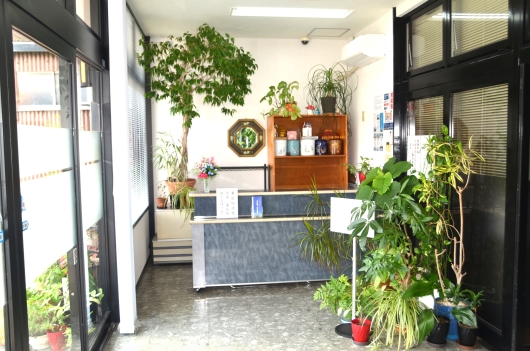 DSC_0138 - コピー.JPG